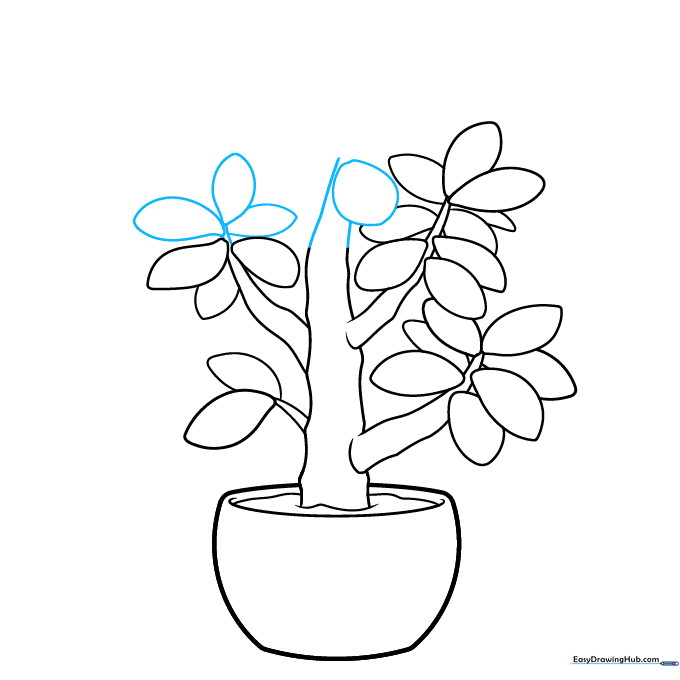 Extending the main trunk upward and adding a single leaf directly to the stem.