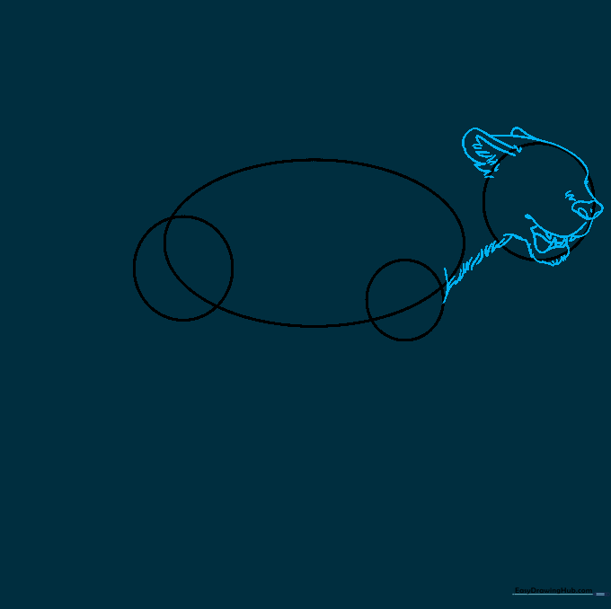 Detailed line drawing of a jaguar's head showing ears, nose, and open mouth with teeth.