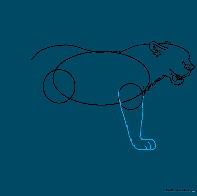 Close-up line drawing of a jaguar's front leg and paw with defined toes.