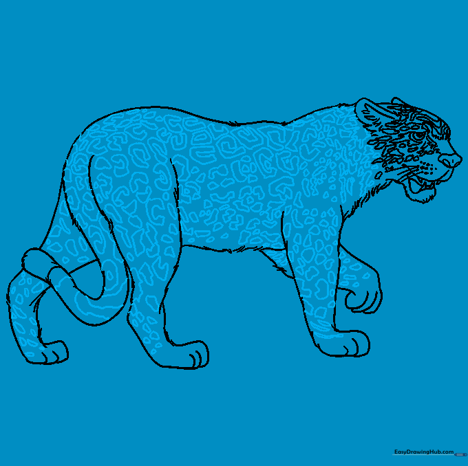 Full body drawing of the jaguar covered in characteristic rosette spot patterns.
