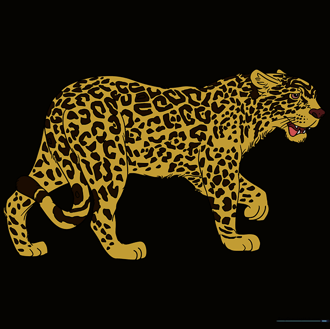 Finished, colored drawing of a jaguar with vibrant orange fur and dark rosette spots.