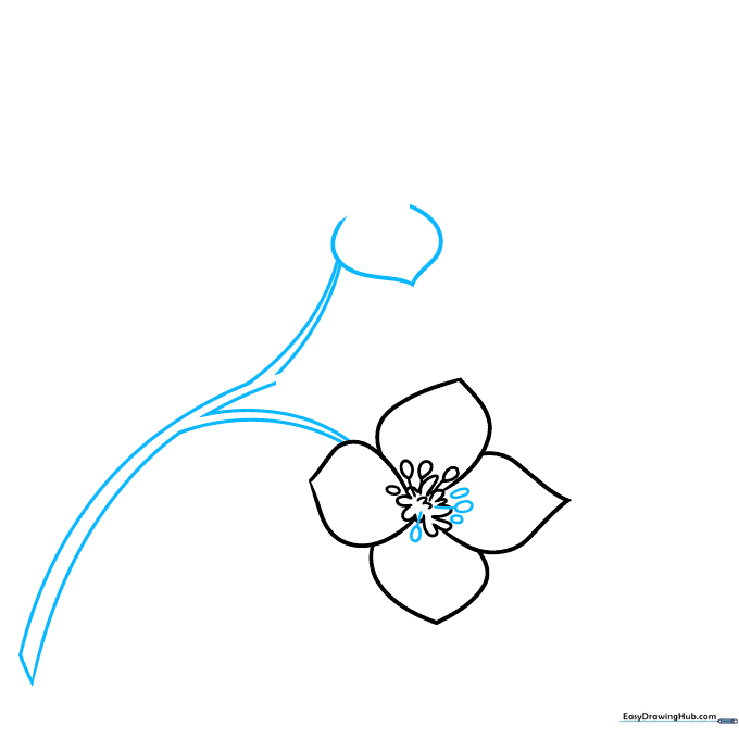 Pencil sketch showing a Y-shaped stem and the beginning of a second flower blossom.