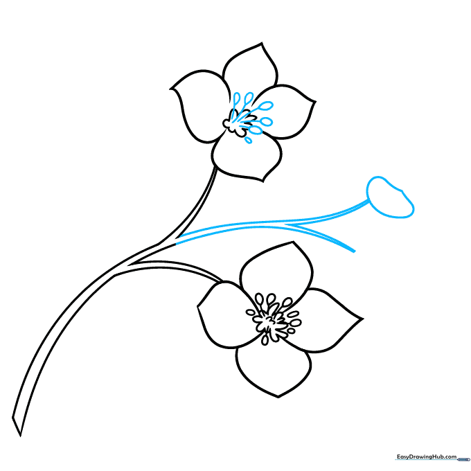 Pencil sketch showing the stem extending and a new petal being added.