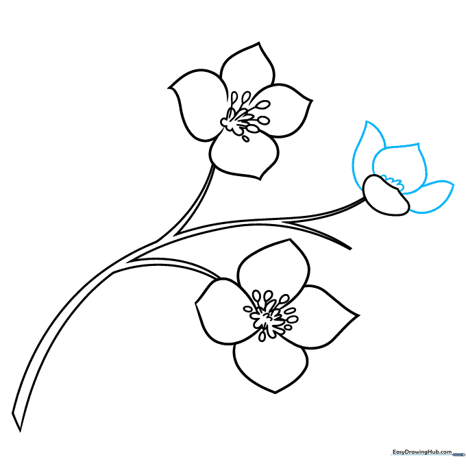 Pencil sketch showing the completed petal arrangement for the jasmine cluster.