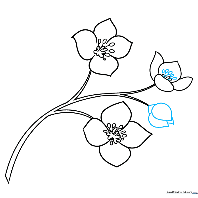 Pencil sketch showing the addition of a closed flower bud to the stem.