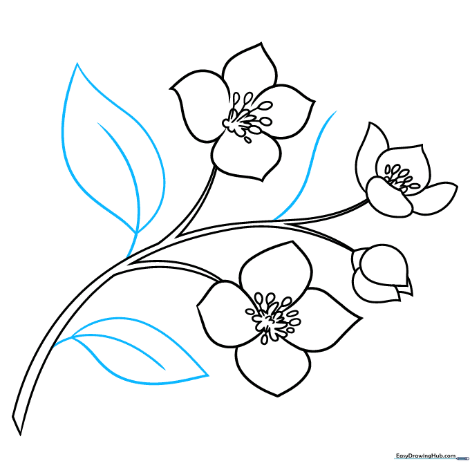 Pencil sketch showing the addition of leaves with central veins.