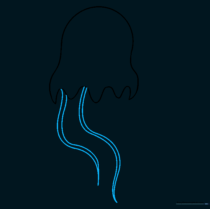 Initial long, wavy tentacle shapes hanging from the jellyfish bell.