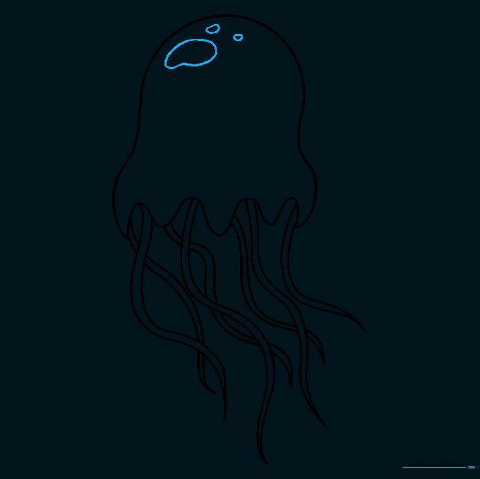 Small spots and circles added to the jellyfish bell for texture.