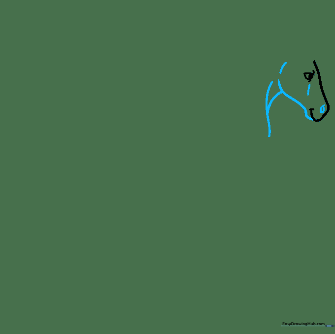 Drawing the lower jaw and neck structure of the horse.