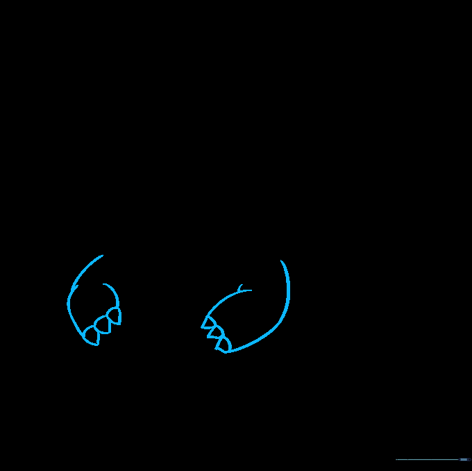 Dragon body with two small arms and claw details.