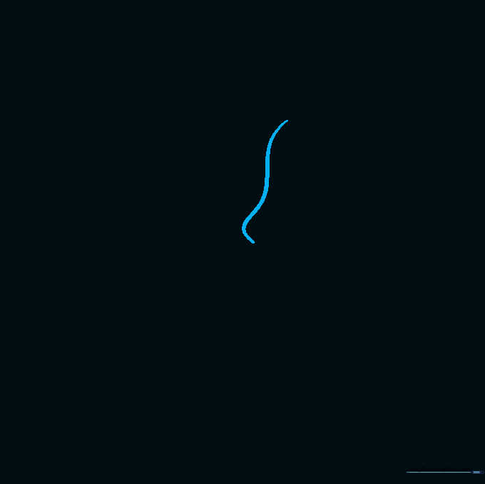 A simple pencil outline showing the forehead and nose bridge of a female profile.