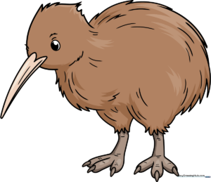 A colorful, friendly cartoon kiwi bird standing on a white background.