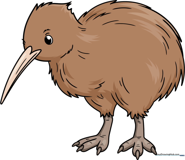 A colorful, friendly cartoon kiwi bird standing on a white background.