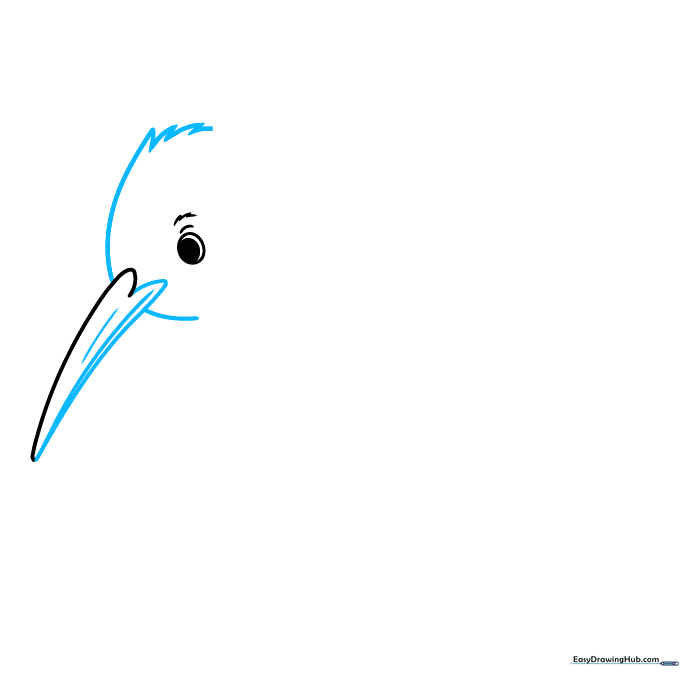 Drawing the full outline of the kiwi bird's beak and the start of its head using jagged lines.