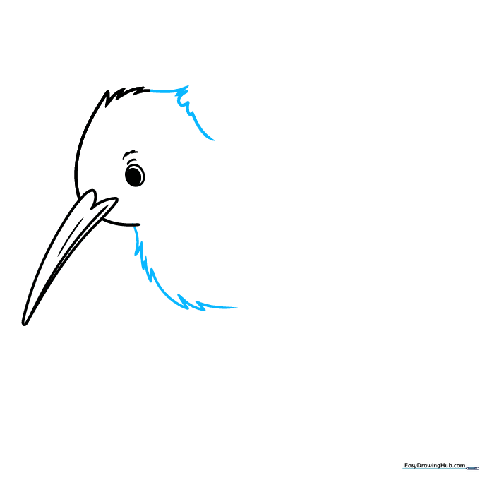Adding the chest area to the kiwi bird drawing using textured, jagged lines.