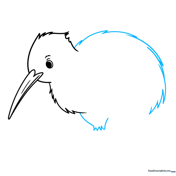 Outlining the rounded body of the kiwi bird with jagged, fur-like strokes.