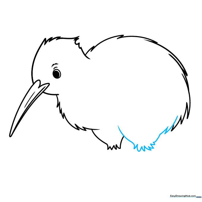 Completing the outline of the kiwi bird's body by connecting the leg and back lines.