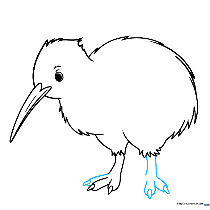 Adding the second foot to the kiwi bird drawing to complete the stance.