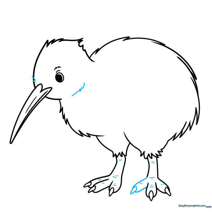 Adding fine texture lines to the kiwi bird's legs and head for a realistic touch.