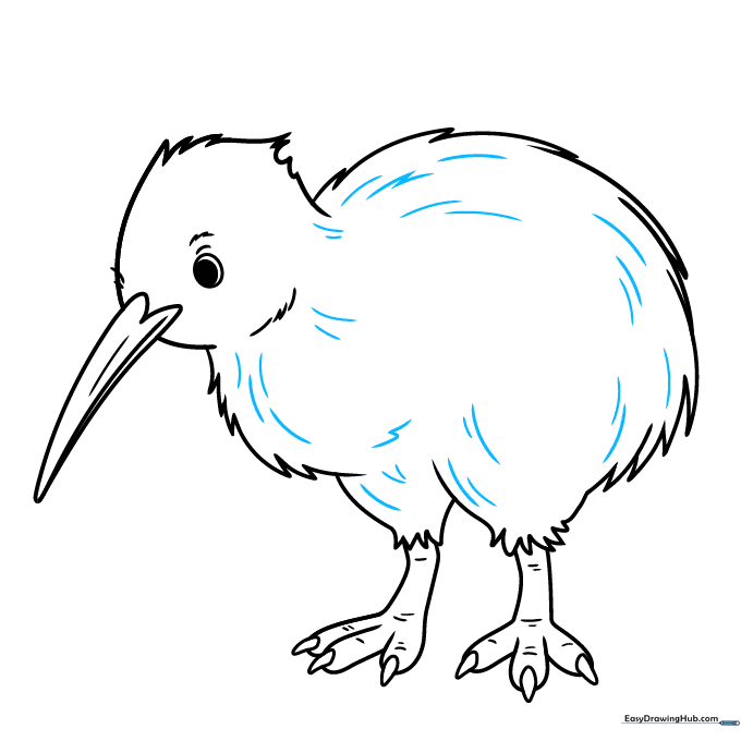 Finalizing the kiwi bird drawing with feather texture lines across the body.
