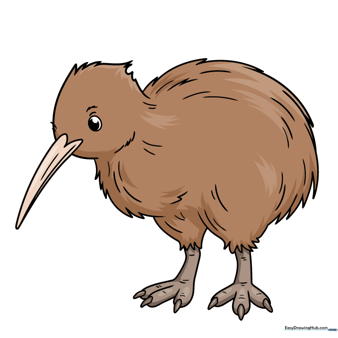 A finished, colored cartoon kiwi bird drawing.