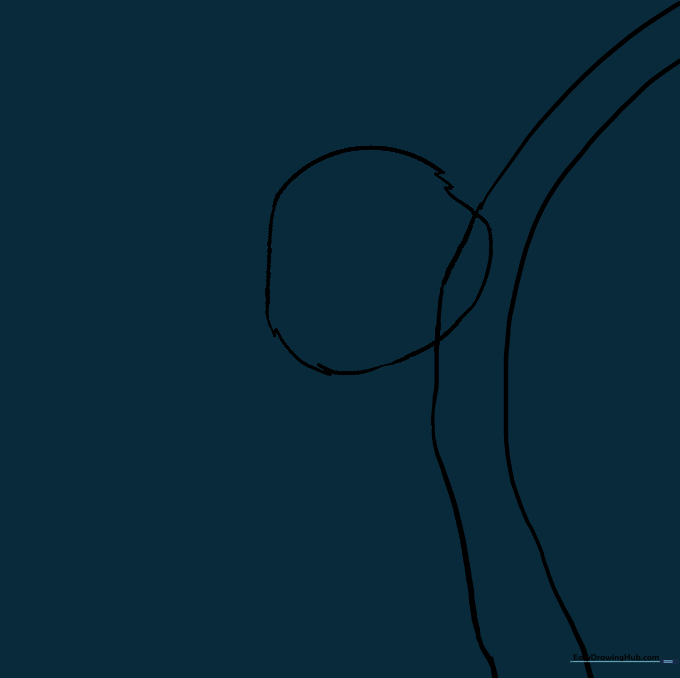 The koala head shape after erasing the initial construction circle.
