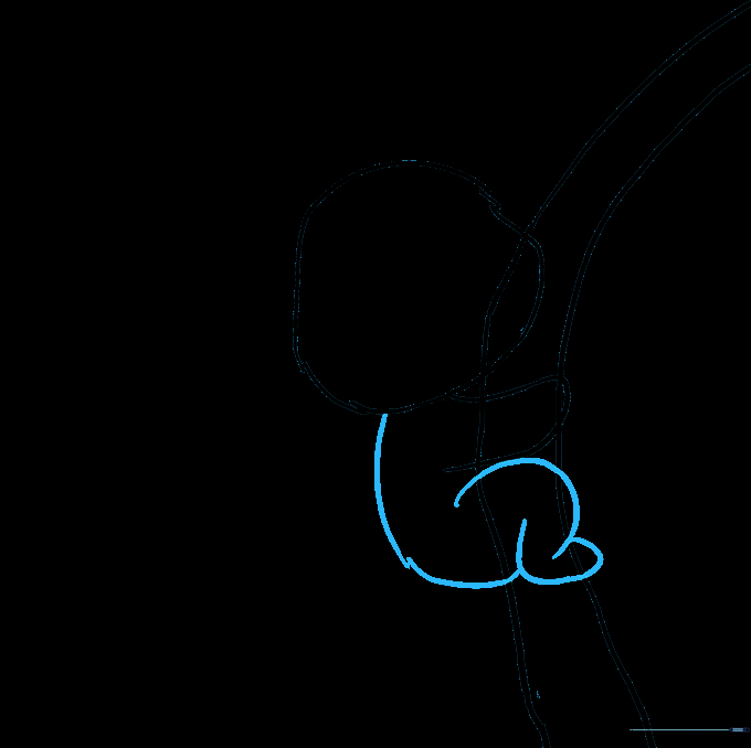 The outline of the koala's body and leg attached to the tree branch.