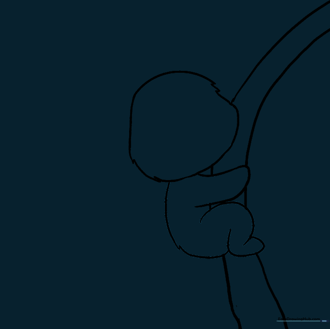 The clean outline of the koala body after removing unnecessary construction lines.
