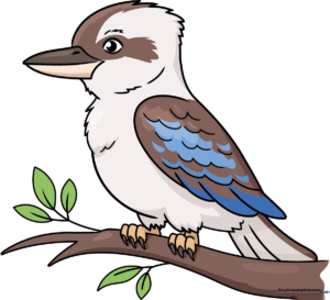 Finished, colorful cartoon Kookaburra illustration on a branch.