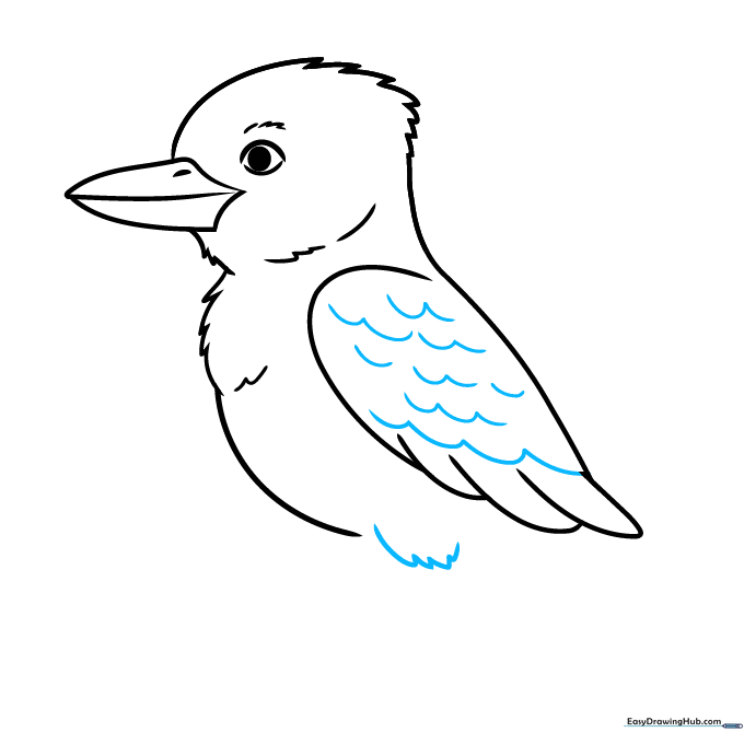 Pencil drawing of a Kookaburra with detailed 'U' shaped feather patterns on the wing.