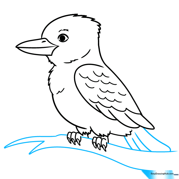 Pencil sketch of a Kookaburra perched on a tree branch.