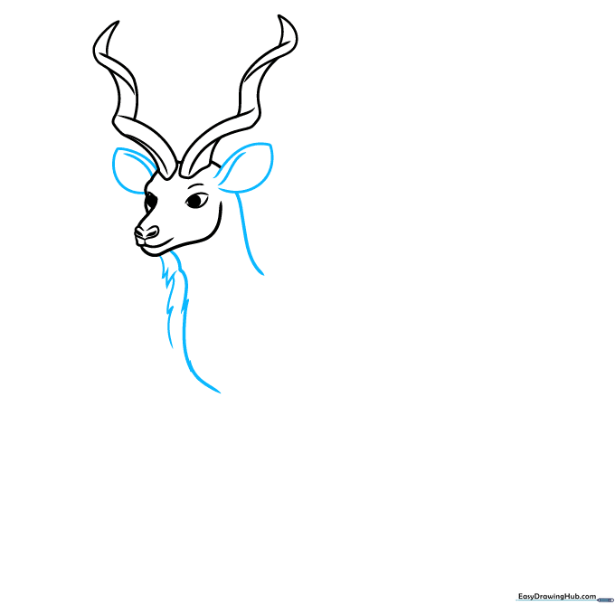 Sketch showing the kudu's ears and the textured fur of its neck mane.
