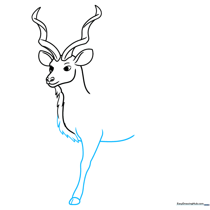 Pencil outline of the kudu's torso and front leg with a detailed hoof.