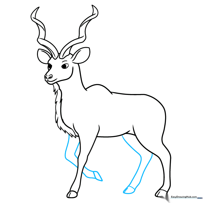 Pencil sketch showing all four legs of the kudu to complete the body outline.