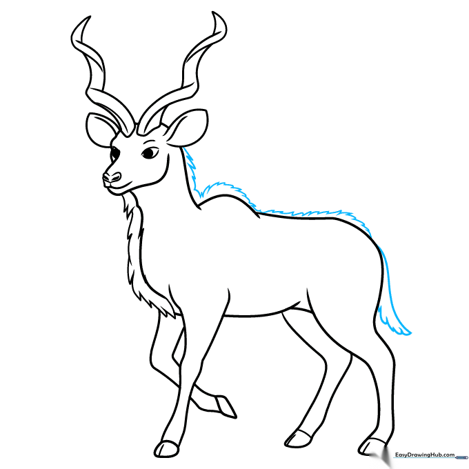 Sketch of the kudu's back mane and tail, adding final texture details.
