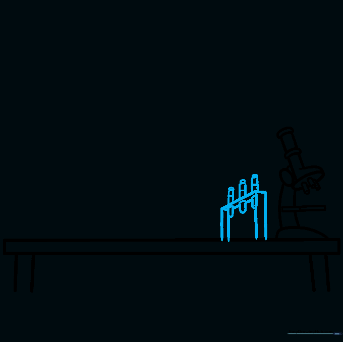 Sketching a test tube rack with multiple tubes and stoppers
