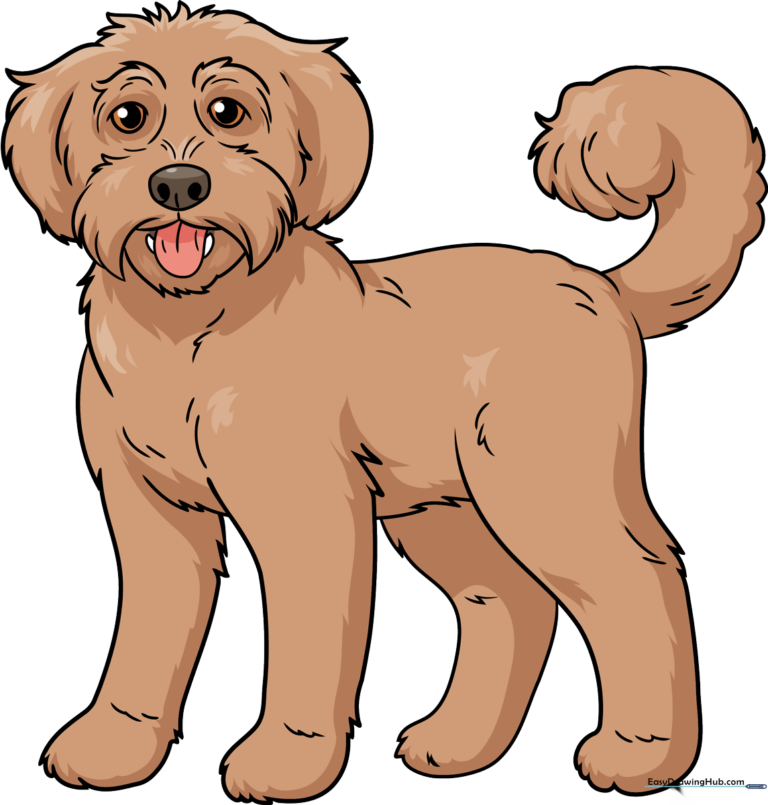 A friendly, cartoon Labradoodle illustration, perfect for kids to learn how to draw.