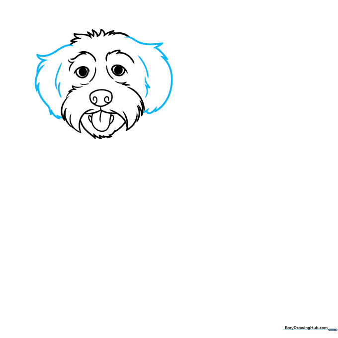 Adding large, floppy, textured ears to the Labradoodle head.