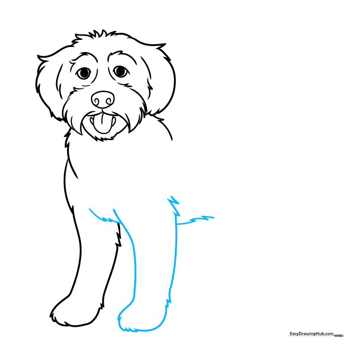 Adding the second front leg to complete the Labradoodle's chest area.