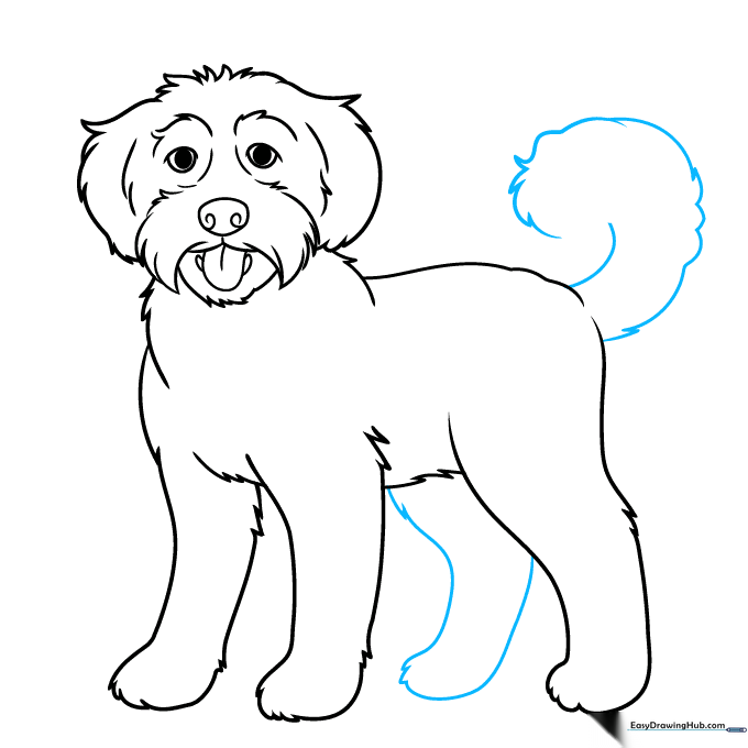 Adding the final rear leg and a curly, happy tail to the Labradoodle.
