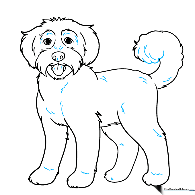 Adding final fur texture lines to the body of the Labradoodle drawing.