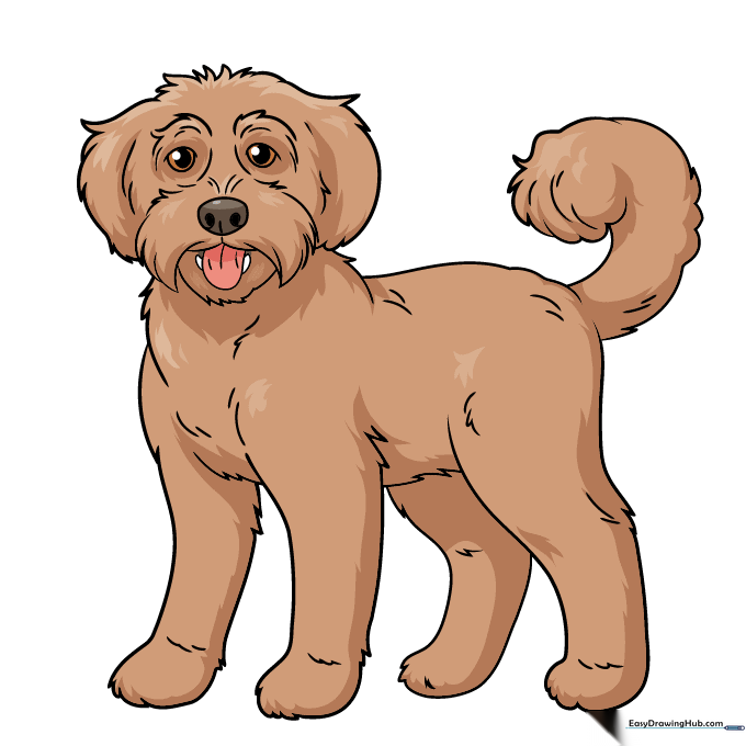 A fully colored, cute cartoon Labradoodle.