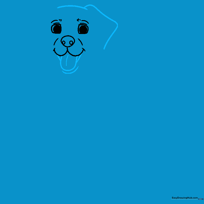 Adding a tongue and the first floppy ear to the Labrador head sketch.