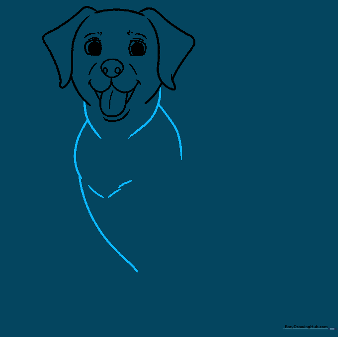 Drawing the neck and chest area with fur texture details.