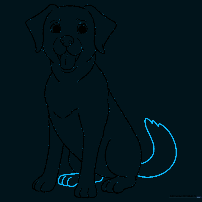 Adding the final tail details to the Labrador drawing.