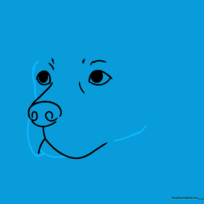 Drawing the jawline and muzzle using textured, jagged lines.