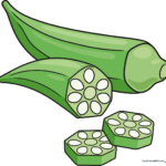 A vibrant, finished drawing of okra pods and slices, ready for coloring.
