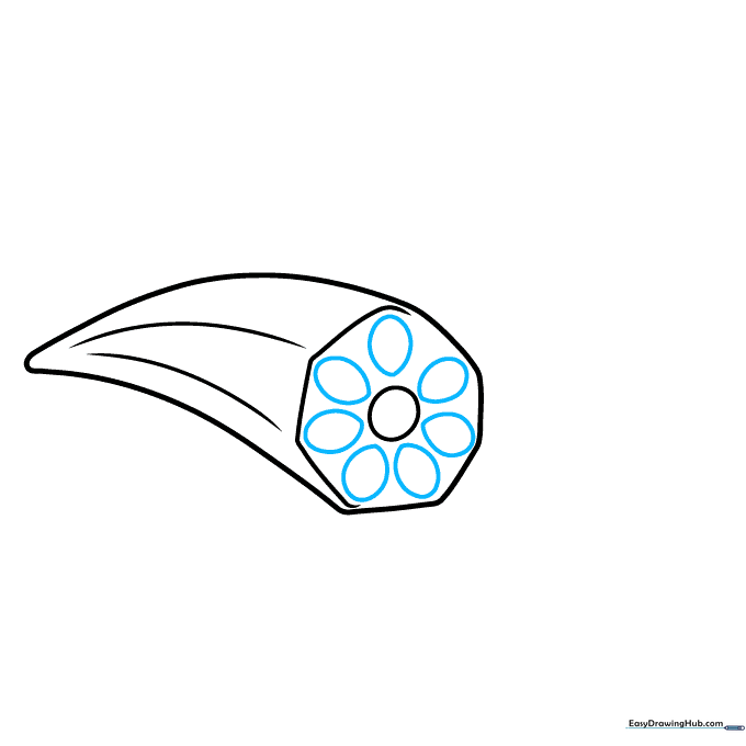Drawing seven small oval seed pockets inside the octagonal okra slice.