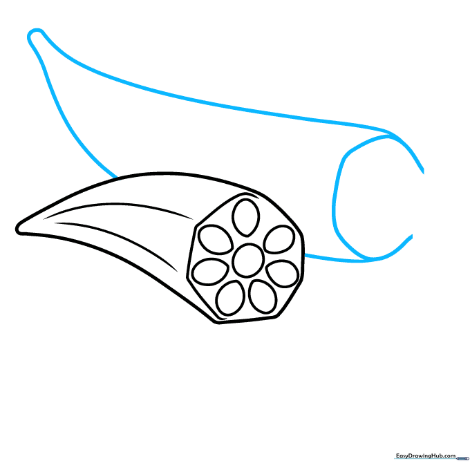 Sketching a long, curved okra pod next to the sliced piece.