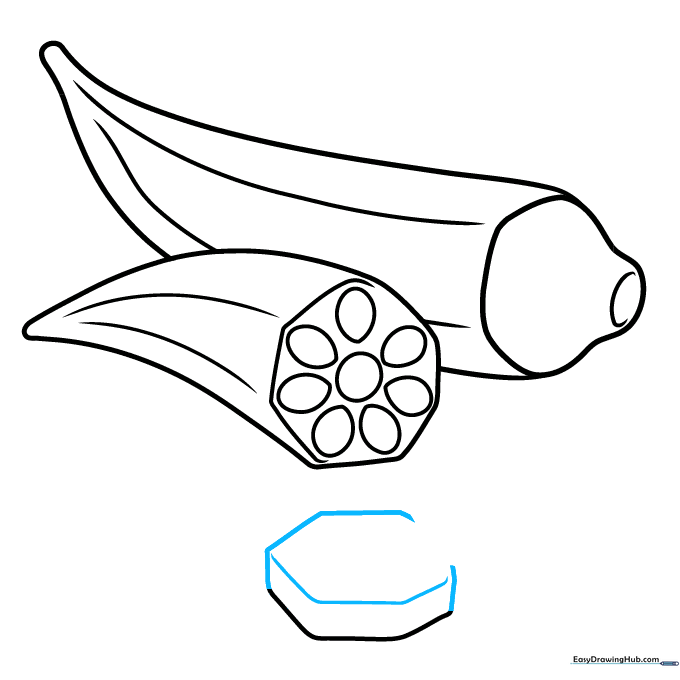 Drawing a second, side-view slice of okra with depth.